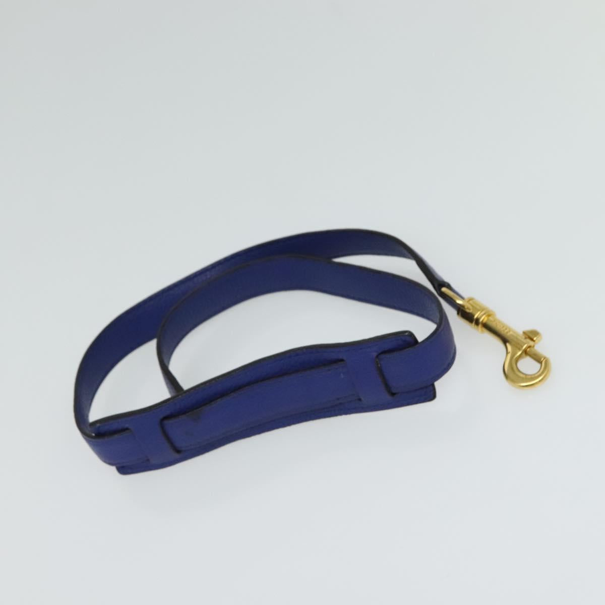 Céline Trapèze, Blue, Leather, handbag