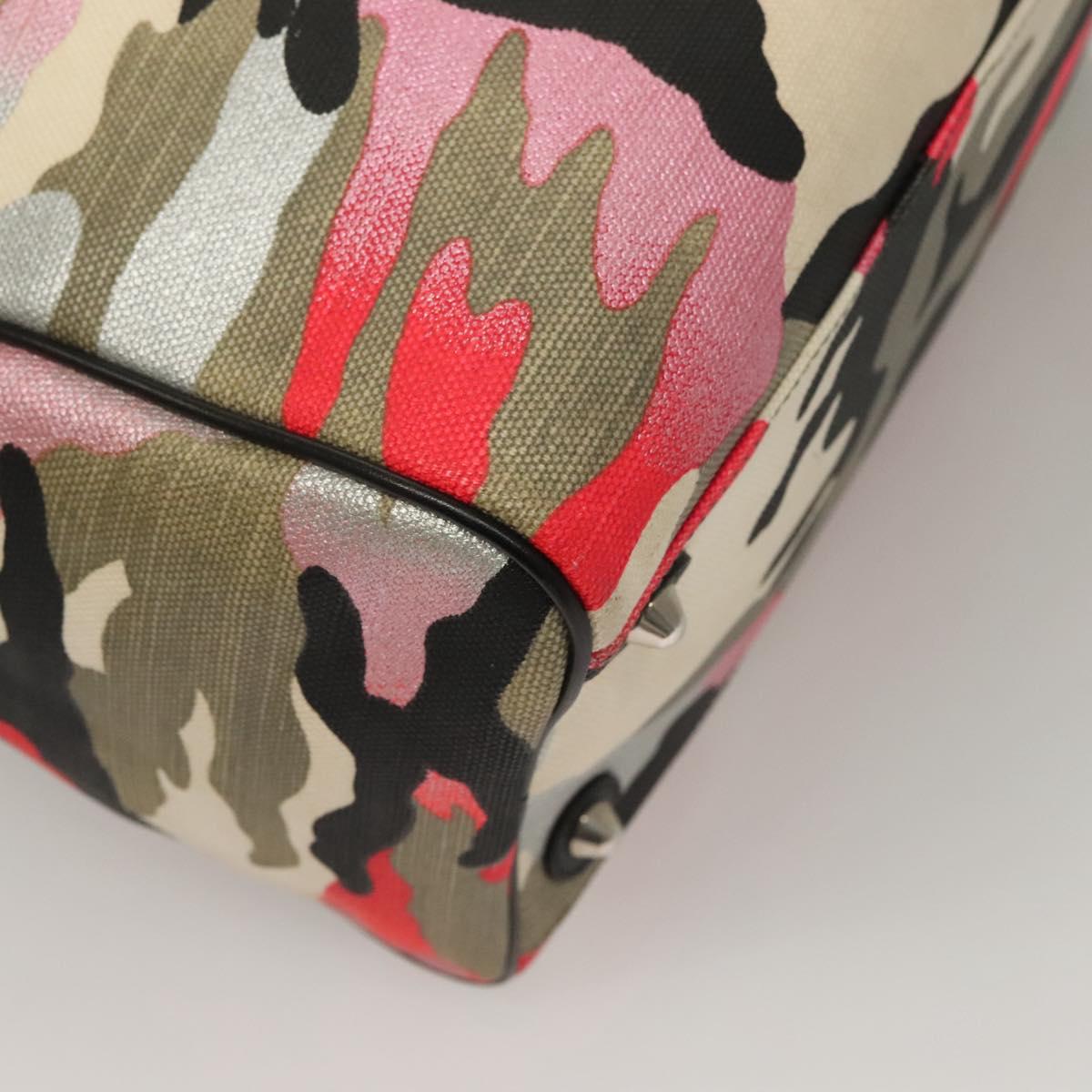 Dior Speedy, Multicolour, Canvas, handbag