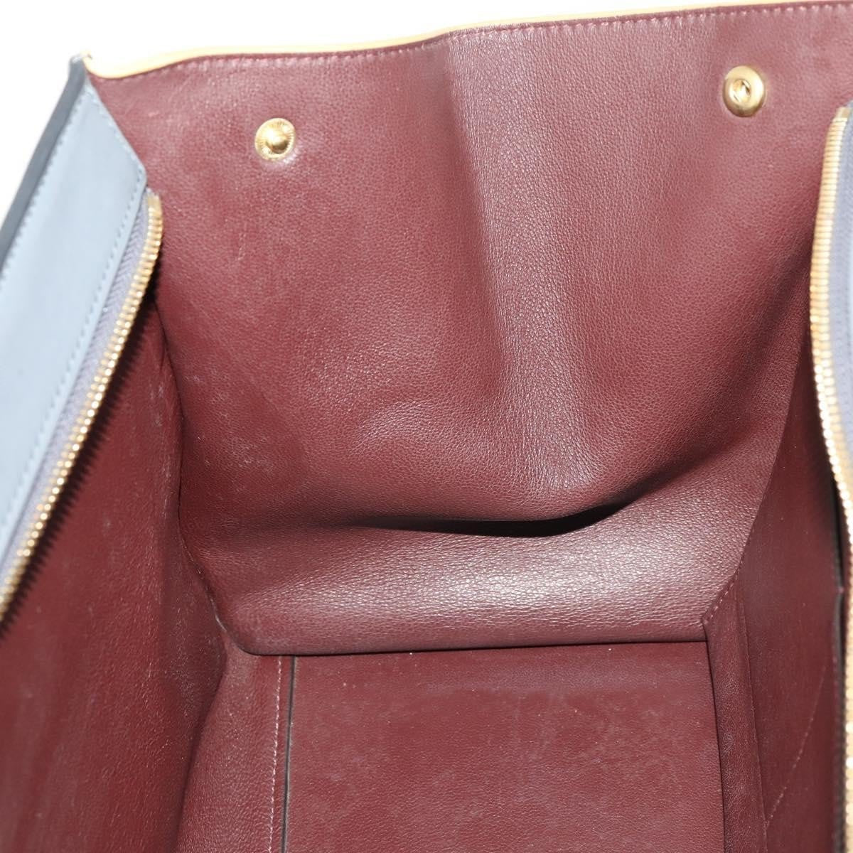 Celine Tricolor Trapeze - Brandsamsara