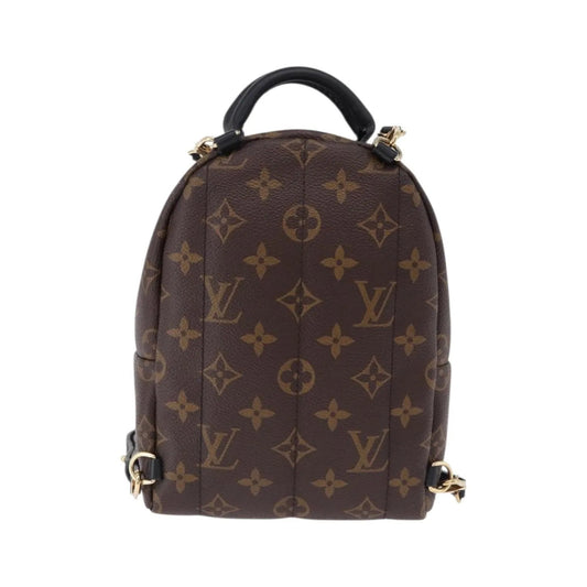 Louis Vuitton Palm Springs Monogram, Brown, Canvas, Backpack