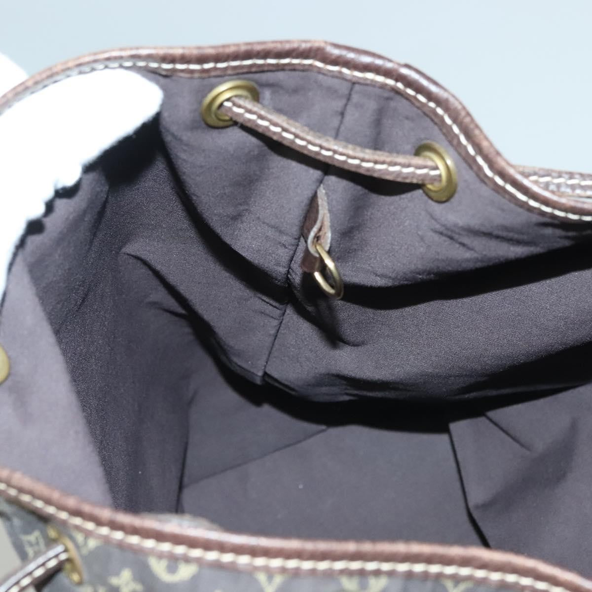 Louis Vuitton Mini Lin Noe Shoulder Bag Monogram Canvas, BROWN, CANVAS, Shoulder bag