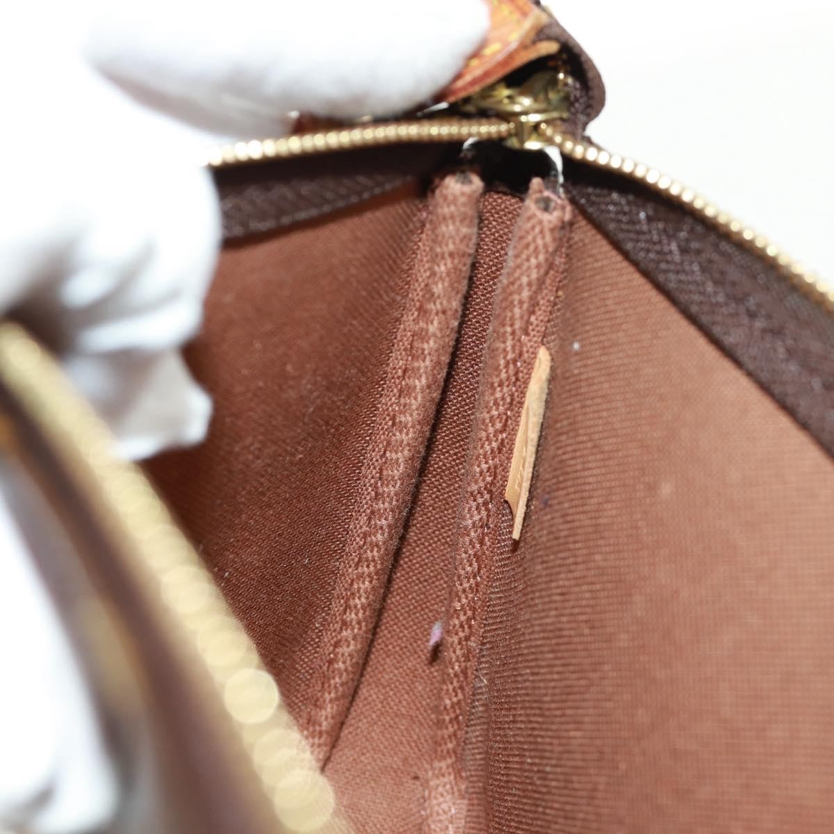 Louis Vuitton Pochette Accessoires Limited Edition Monogram Murakami Panda, BROWN, CANVAS, Clutche & pouche