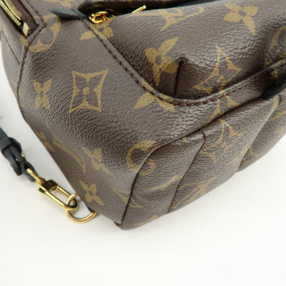 Louis Vuitton Palm Springs Monogram Canvas, Brown, Canvas, Backpack