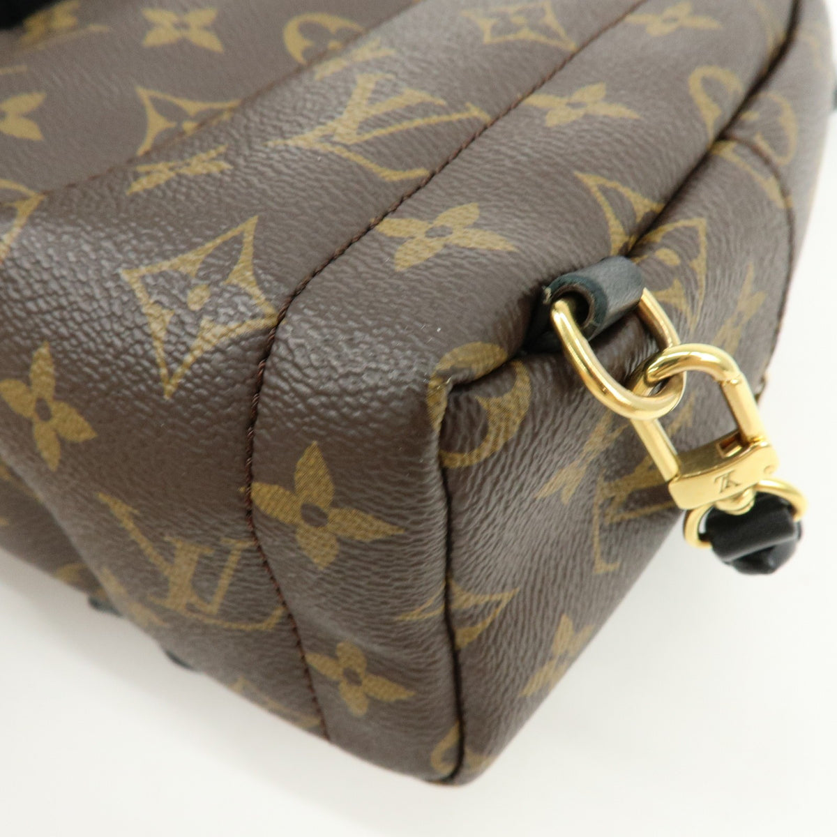 Louis Vuitton Palm Springs Monogram Canvas, Brown, Canvas, Backpack