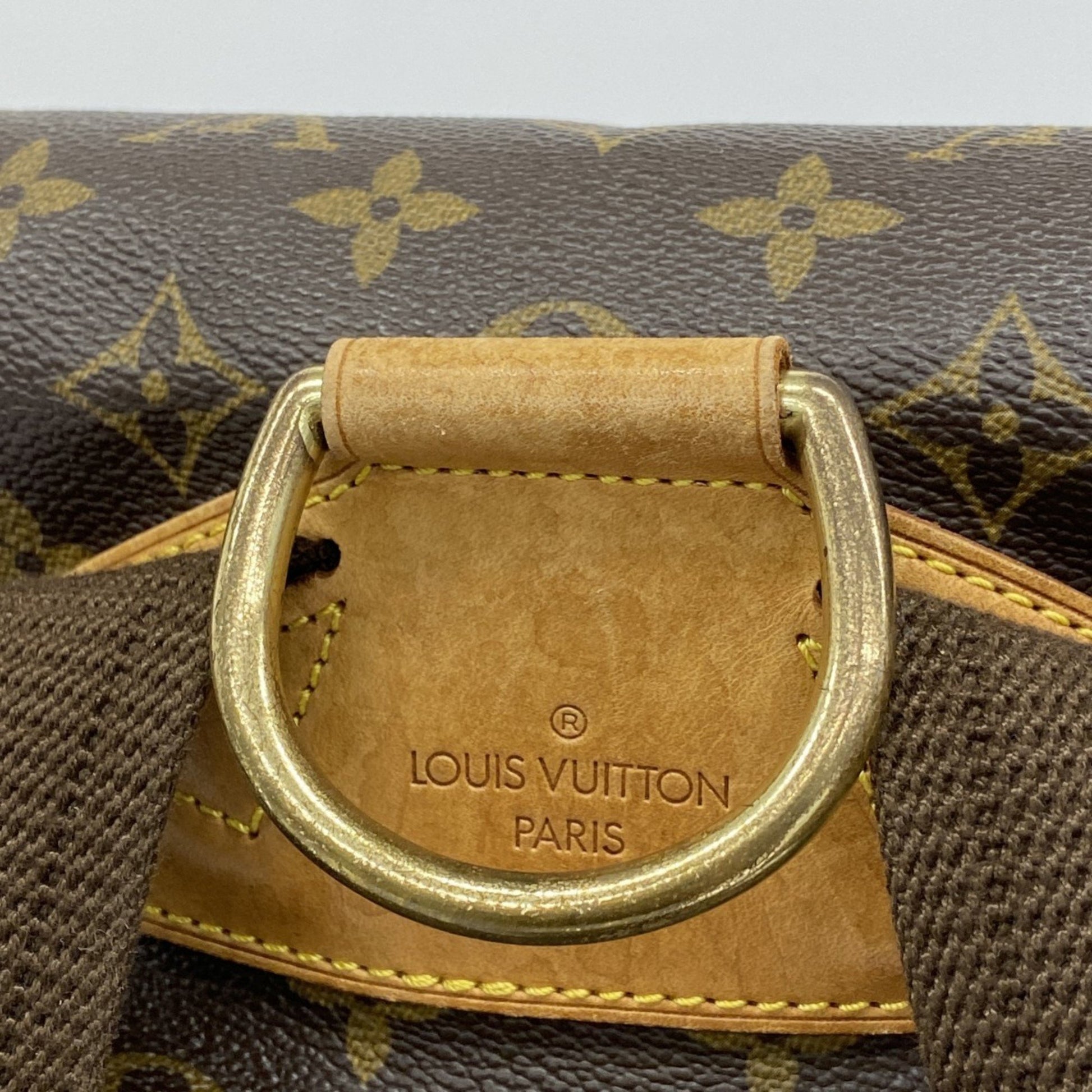 Louis Vuitton Montsouris GM, Brown, Canvas, backpack