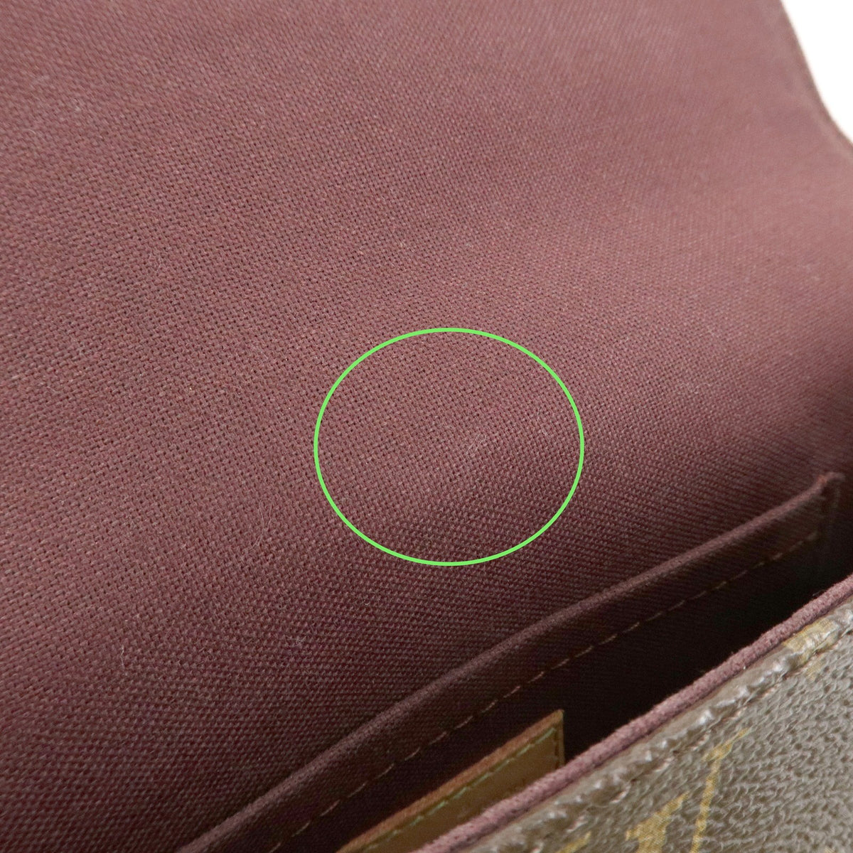 Louis Vuitton Favorite Monogram Canvas, Brown, Canvas, Handbag