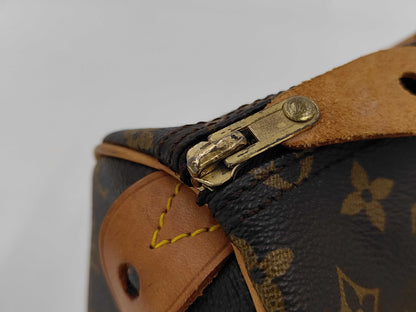 Louis Vuitton Speedy Handbag Monogram Canvas, Brown, Canvas, Handbag