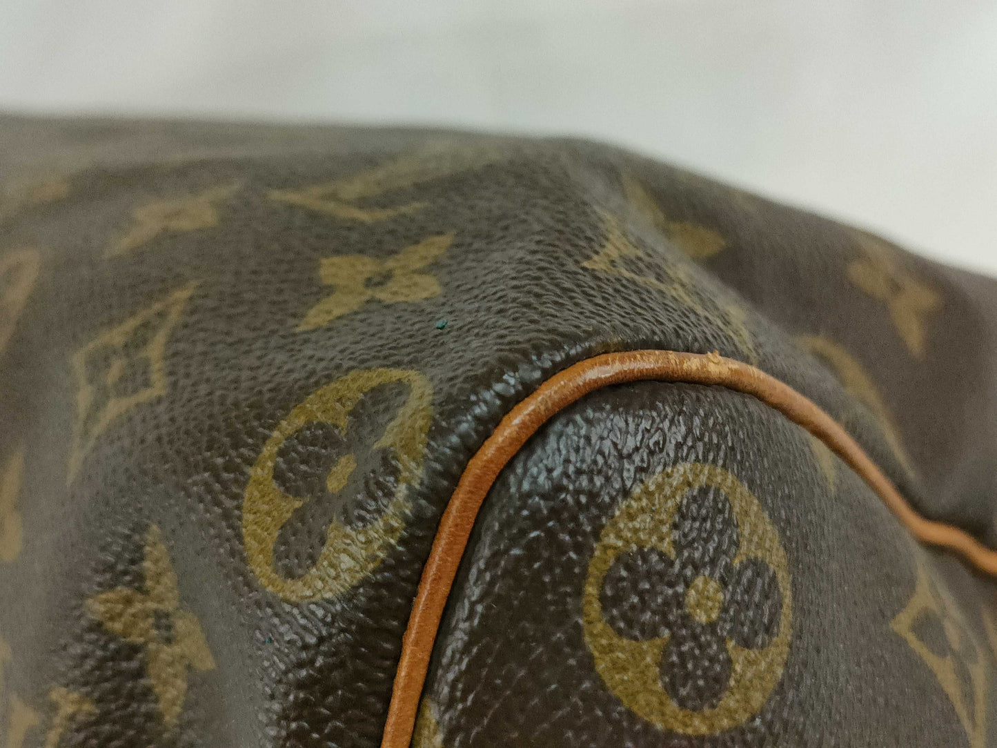 Louis Vuitton Speedy Handbag Monogram Canvas, Multicolour, Canvas, Handbag