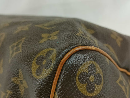 Louis Vuitton Speedy Handbag Monogram Canvas, Multicolour, Canvas, Handbag