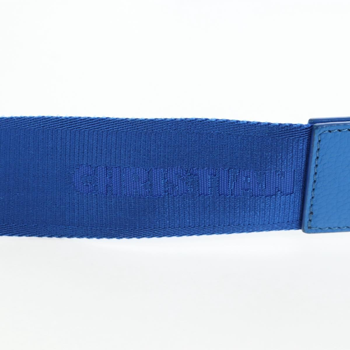 Christian Dior Saddle Leather, Blue, Leather, Crossbody Bag