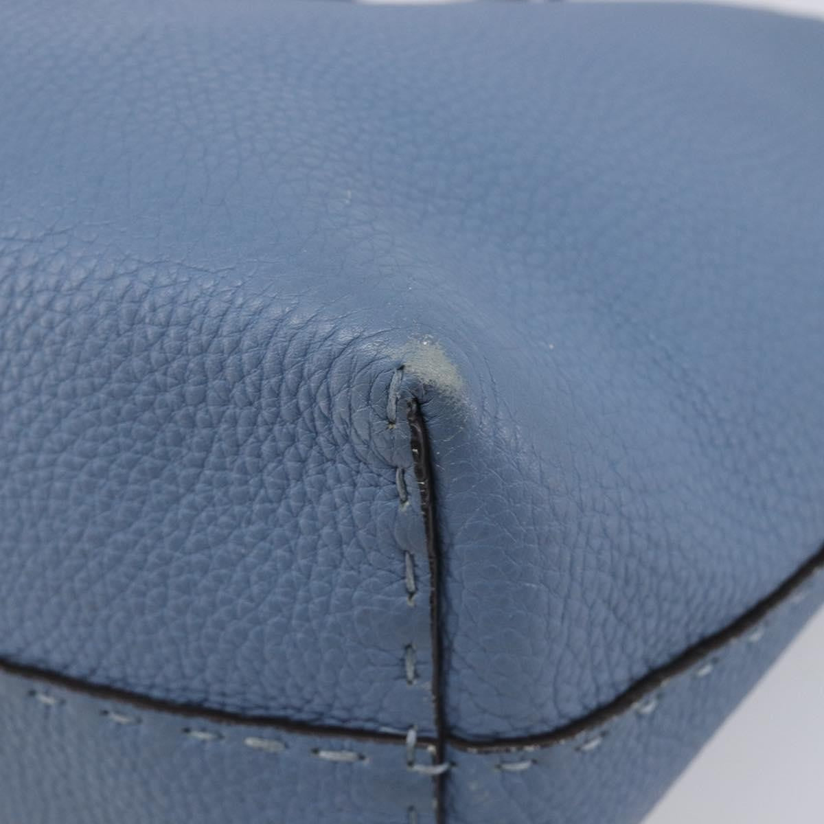 Fendi Selleria Carla Leather, Blue, Leather, Tote Bag