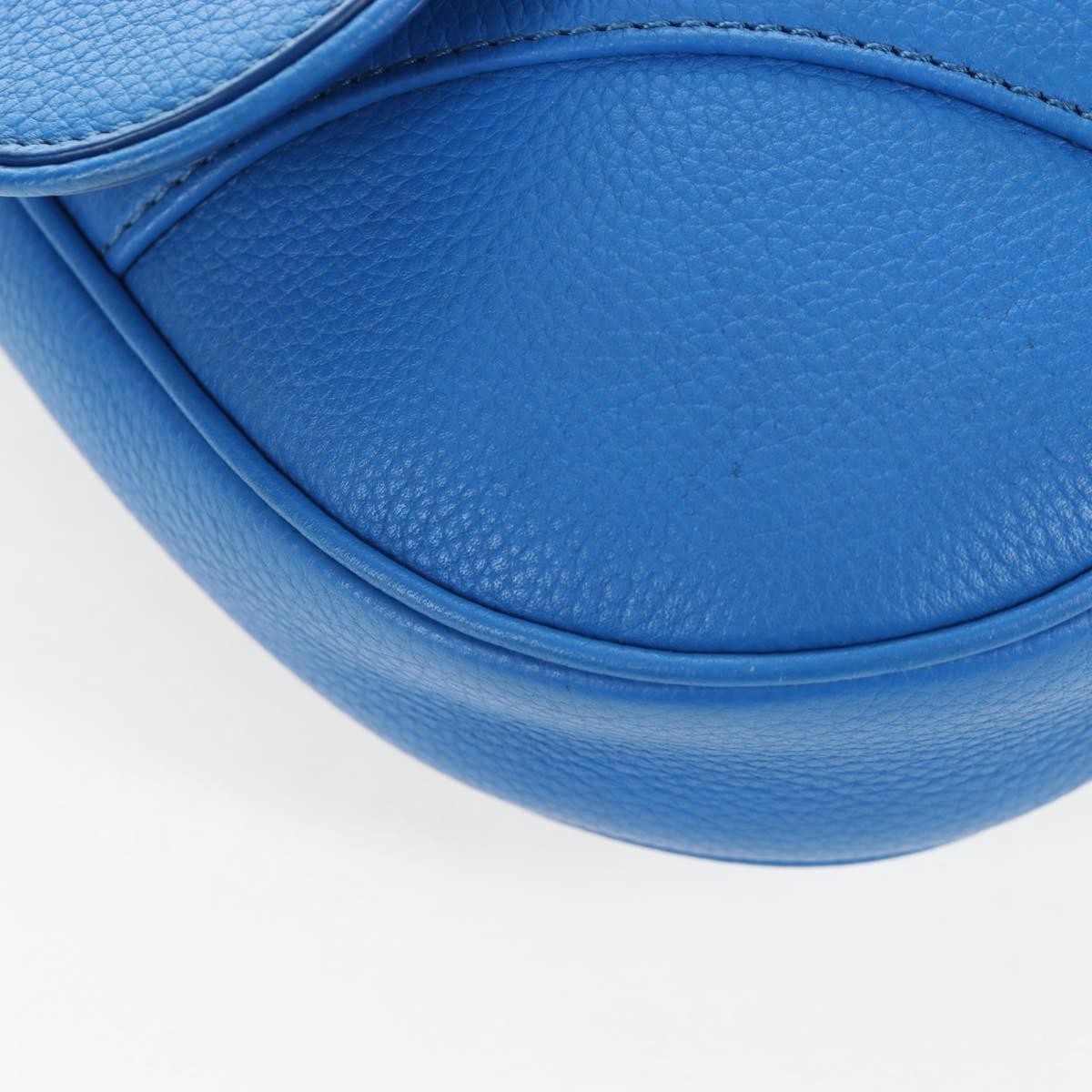 Christian Dior Saddle Leather, Blue, Leather, Crossbody Bag