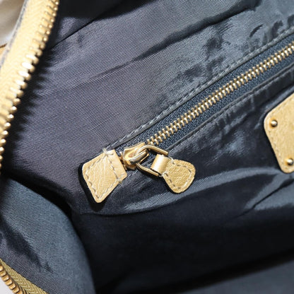 Loewe Amazona Leather, Gold, Leather, Handbag