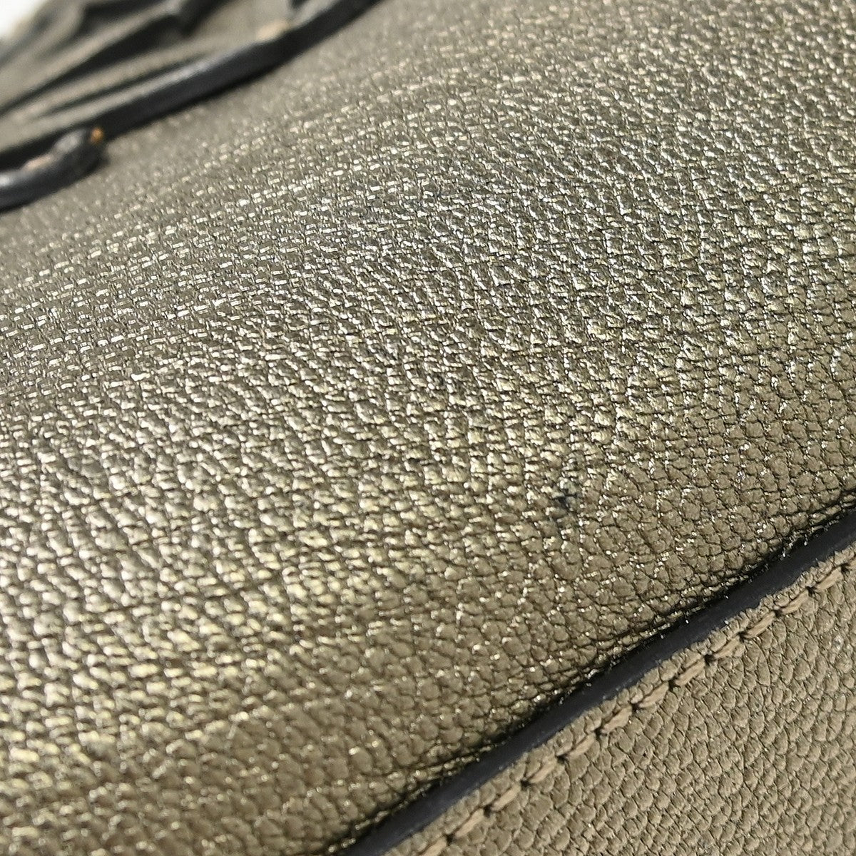 Loewe Amazona Embossed Leather, Gold, Leather, Handbag