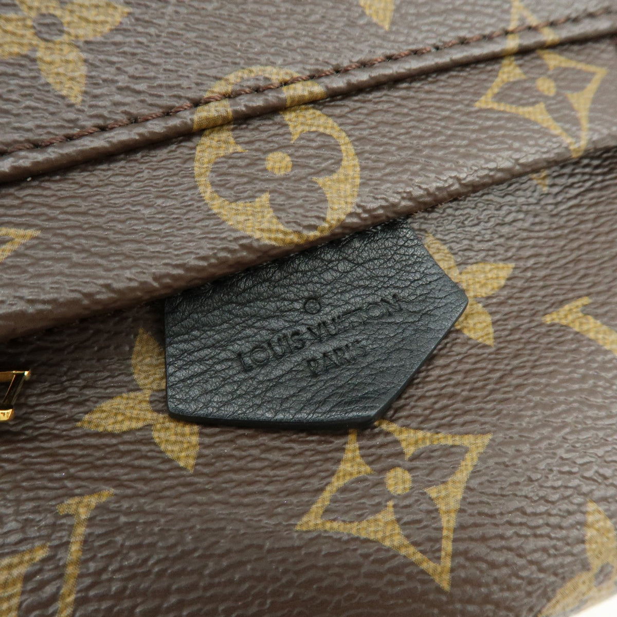 Louis Vuitton Palm Springs Monogram Canvas, Brown, Canvas, Backpack