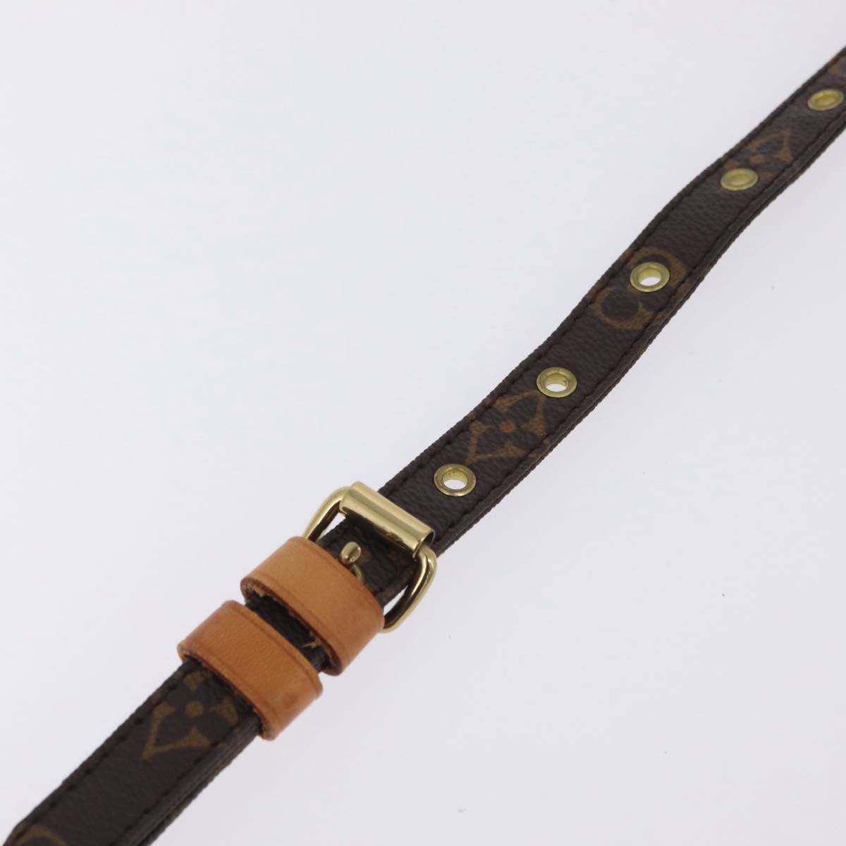 Louis Vuitton Danube Monogram Canvas, Brown, Canvas, Handbag