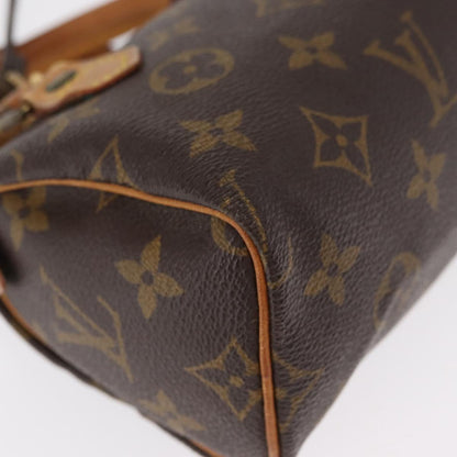 Louis Vuitton Speedy Mini HL Handbag Monogram Canvas, BROWN, CANVAS, Handbag