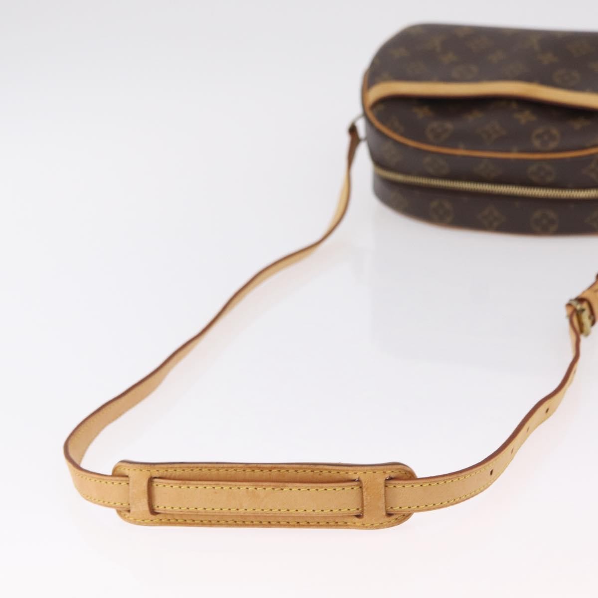 Louis Vuitton Blois Monogram Canvas, Brown, Canvas, Handbag