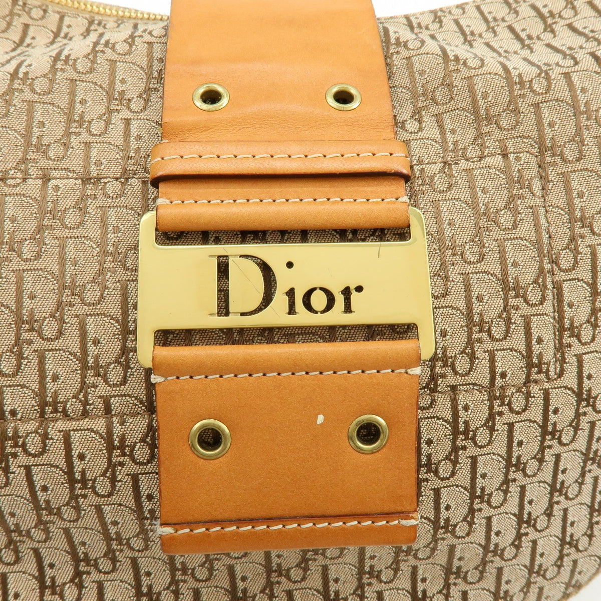 Christian Dior Street Chic Hobo Canvas, Beige, Canvas, Shoulder Bag