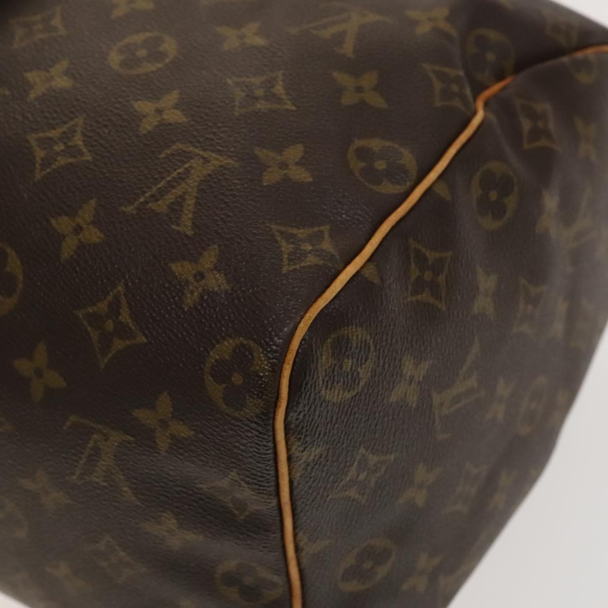 Louis Vuitton Speedy Handbag Monogram Canvas, BROWN, CANVAS, Handbag