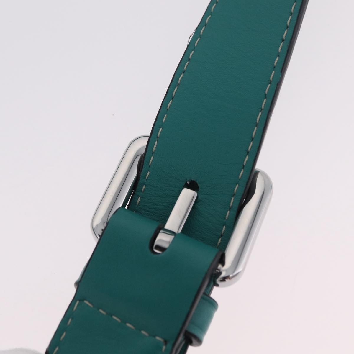 Loewe Gate Belt Leather, Green, Leather, Handbag
