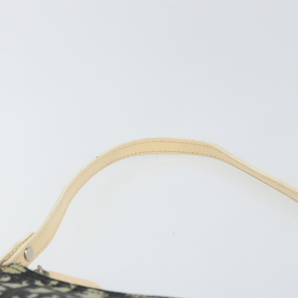Christian Dior Saddle Tripple Pouch Oblique Canvas, BLACK, CANVAS, Shoulder bag