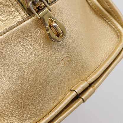 Loewe Amazona Leather, Gold, Leather, Handbag