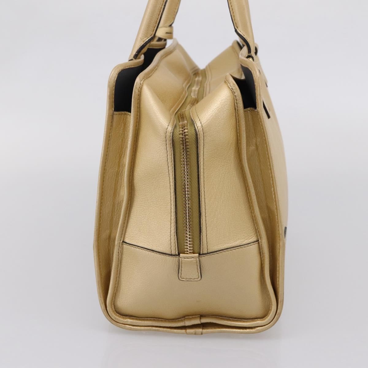 Loewe Amazona Leather, Gold, Leather, Handbag