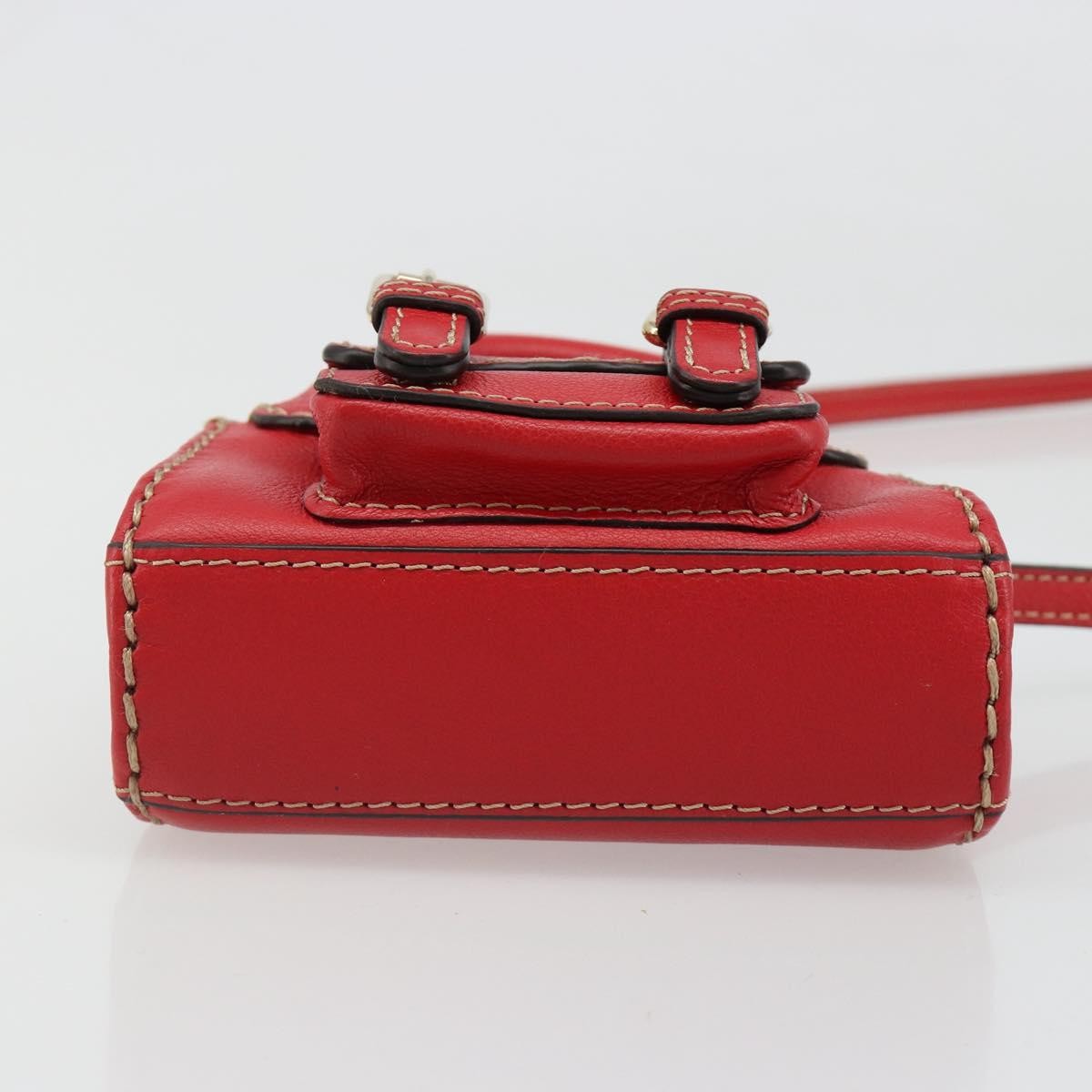 Chloe Edith Leather, Red, Leather, Clutch