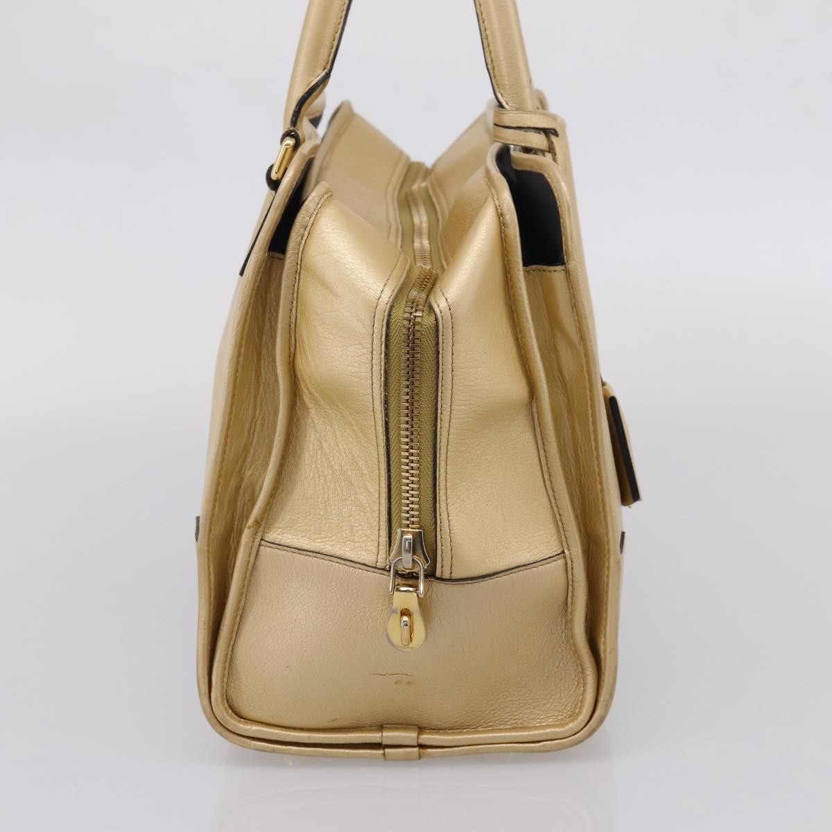 Loewe Amazona Leather, Gold, Leather, Handbag