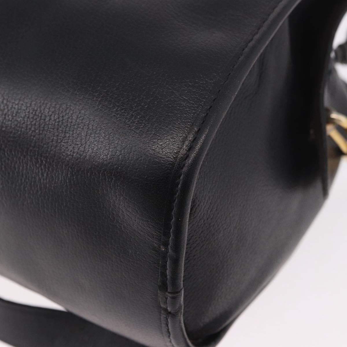 Christian Dior Shoulder Leather, Black, Leather, Shoulder Bag