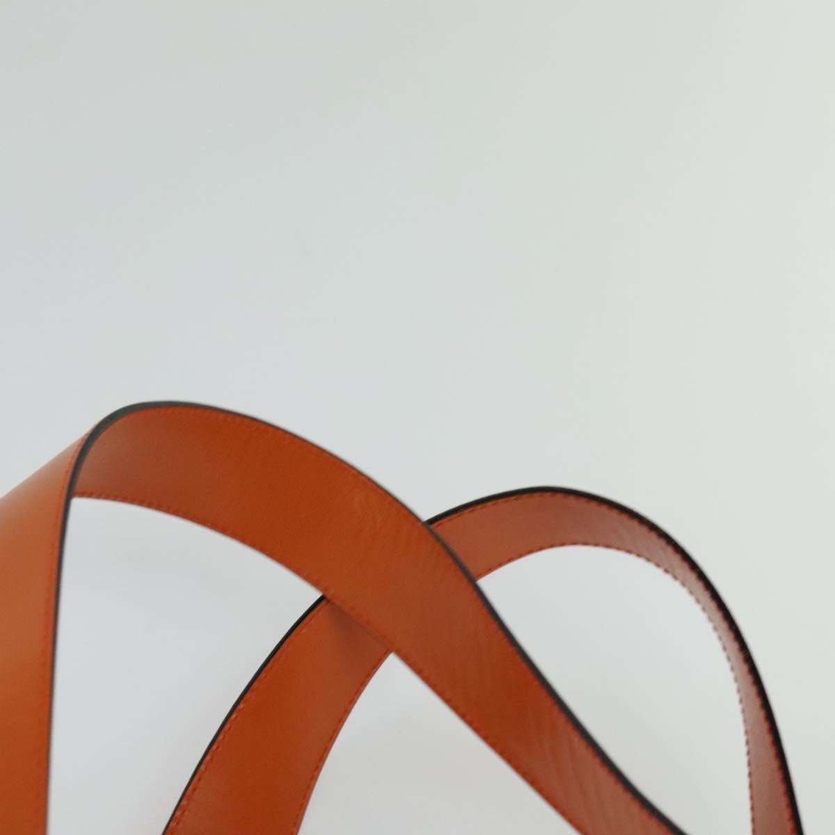 Celine Tote bag - Brandsamsara