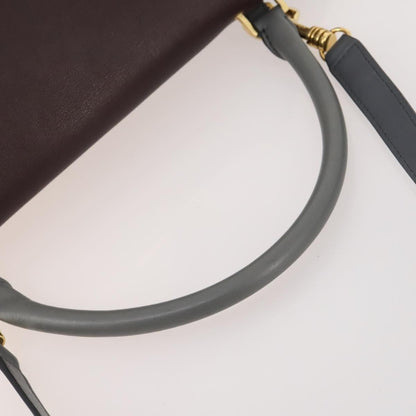 Celine Tricolor Trapeze - Brandsamsara