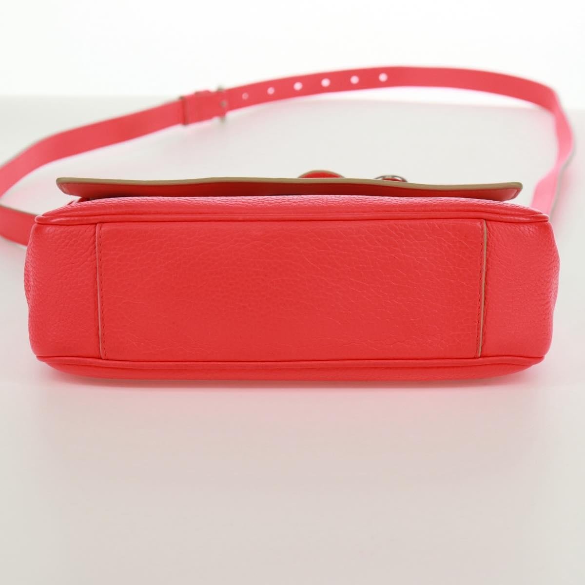 Christian Dior Be Dior Bag - Brandsamsara
