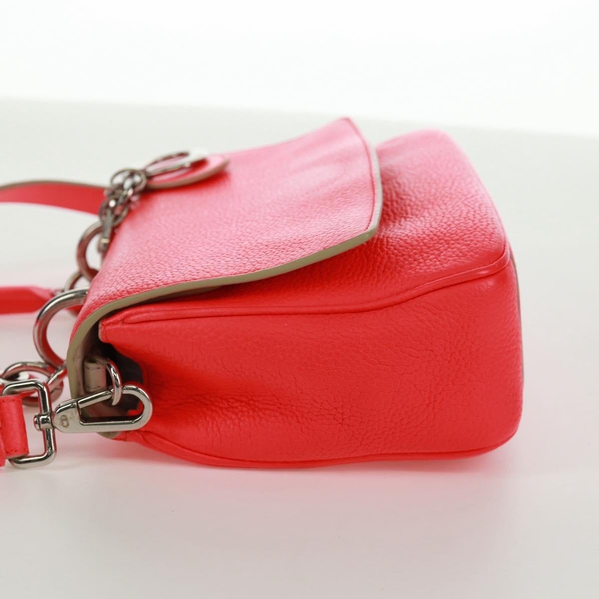 Christian Dior Be Dior Bag - Brandsamsara