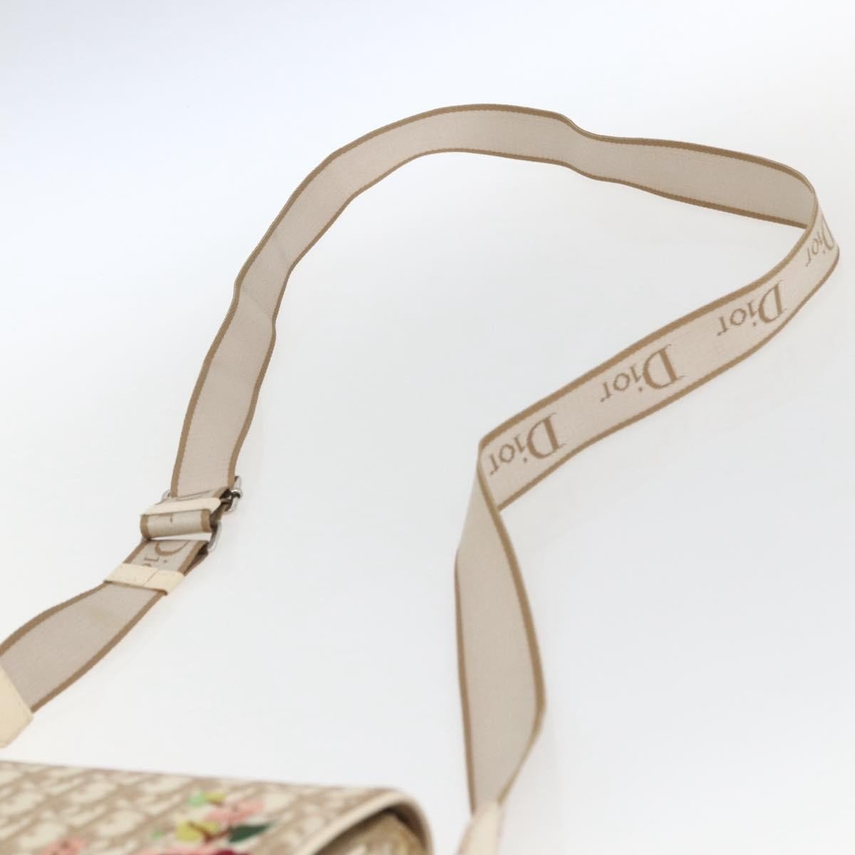 Christian Dior Trotter shoulder bag - Brandsamsara