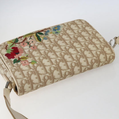 Christian Dior Trotter shoulder bag - Brandsamsara
