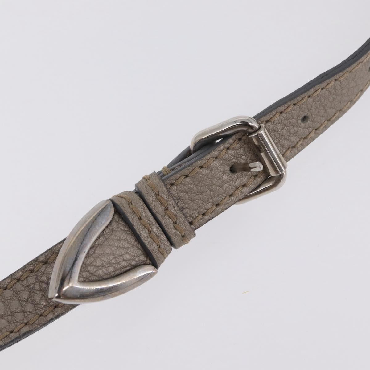 Fendi Selleria Leather, Silver, Leather, Crossbody Bag