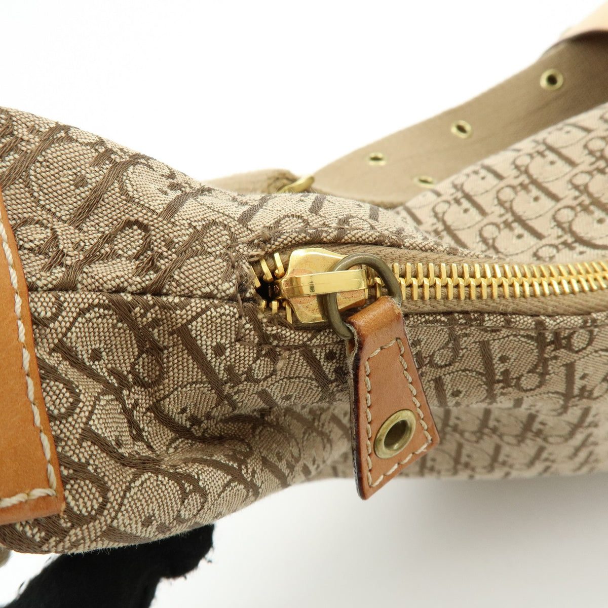 Christian Dior Street Chic Hobo Canvas, Beige, Canvas, Shoulder Bag