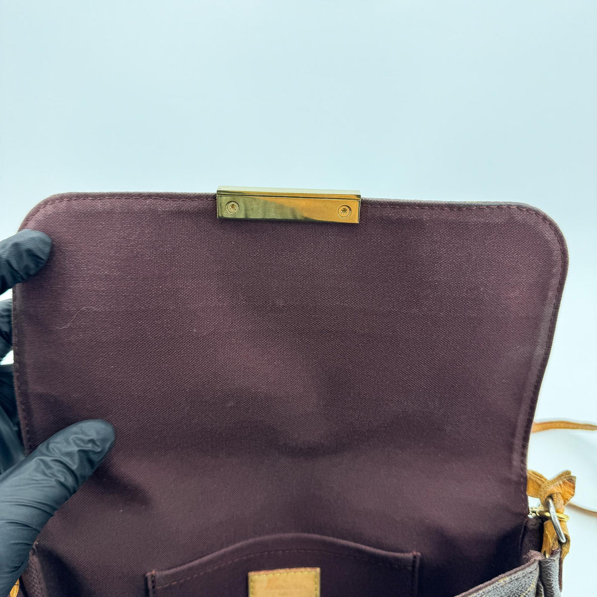 Louis Vuitton Favorite Monogram Canvas, Brown, Canvas, Handbag
