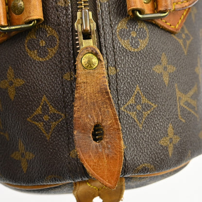Louis Vuitton Speedy Monogram Canvas, Brown, Canvas, Handbag