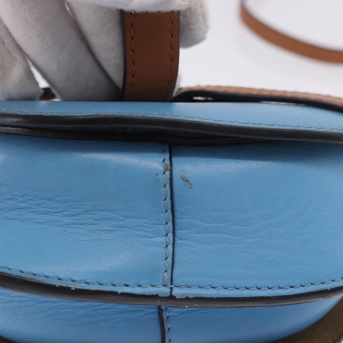 Loewe Metal Gate Leather, Multicolour, Leather, Shoulder Bag