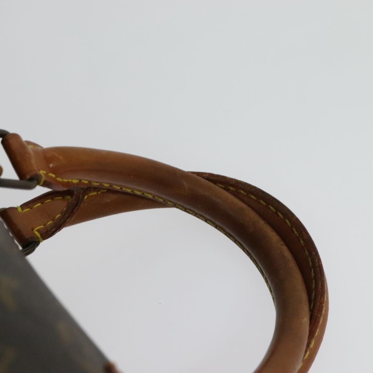 Louis Vuitton Speedy Handbag Monogram Canvas, BROWN, CANVAS, Handbag