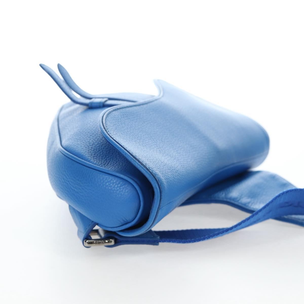 Christian Dior Saddle Leather, Blue, Leather, Crossbody Bag