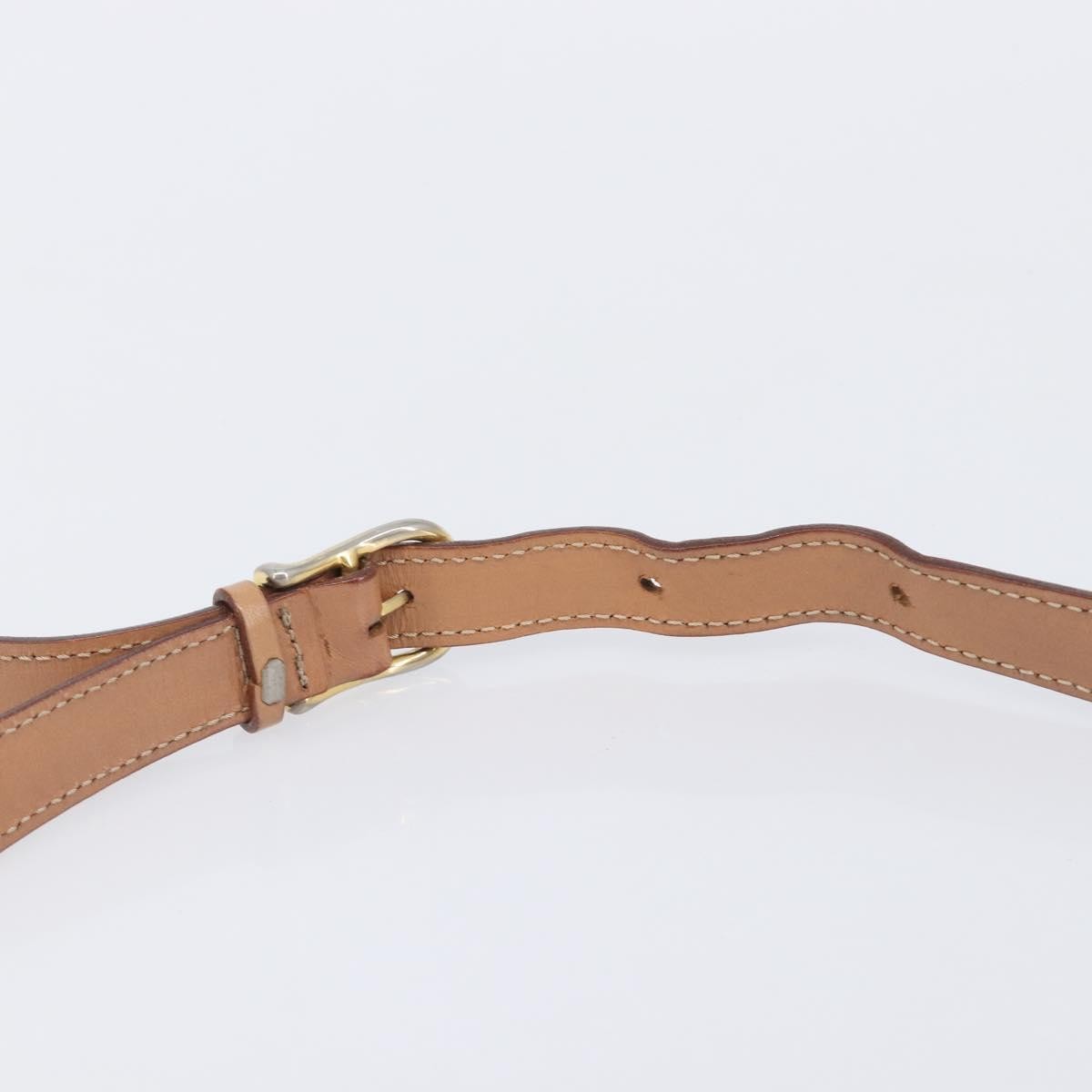 Celine Macadam Shoulder Canvas, Brown, Canvas, Crossbody Bag