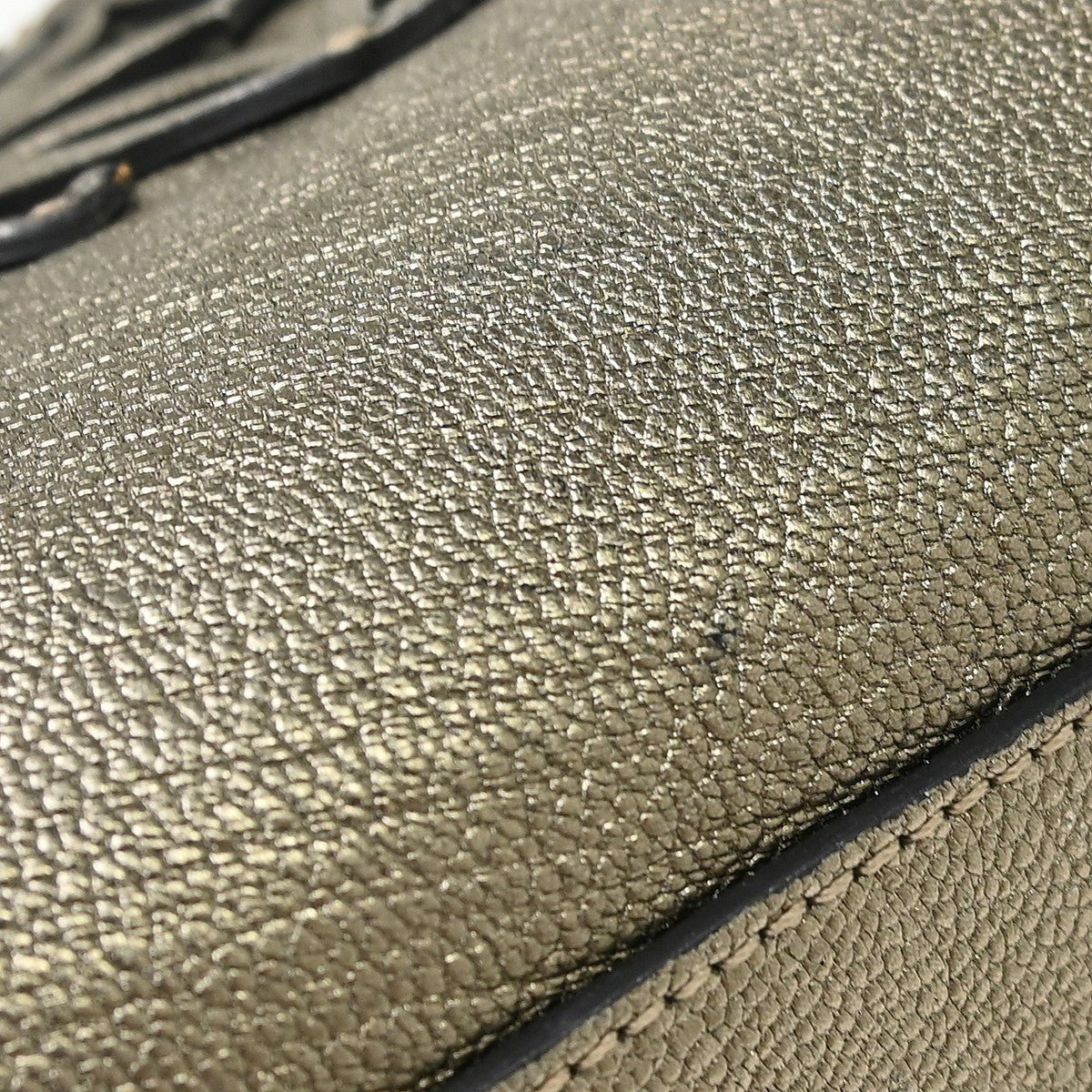 Loewe Amazona - Brandsamsara