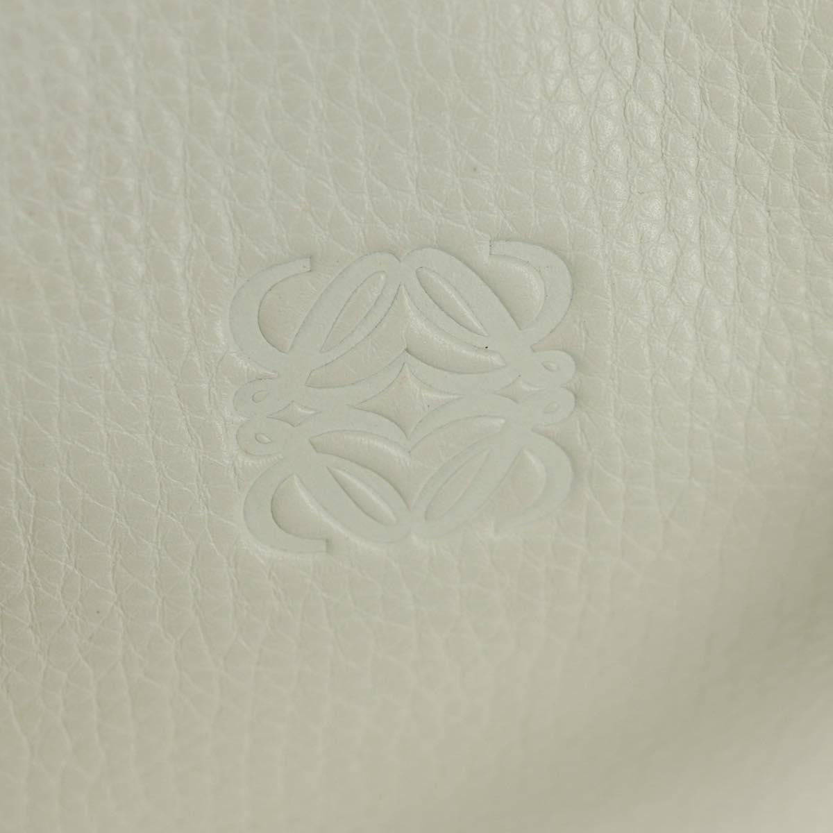 Loewe Amazona Bag - Brandsamsara