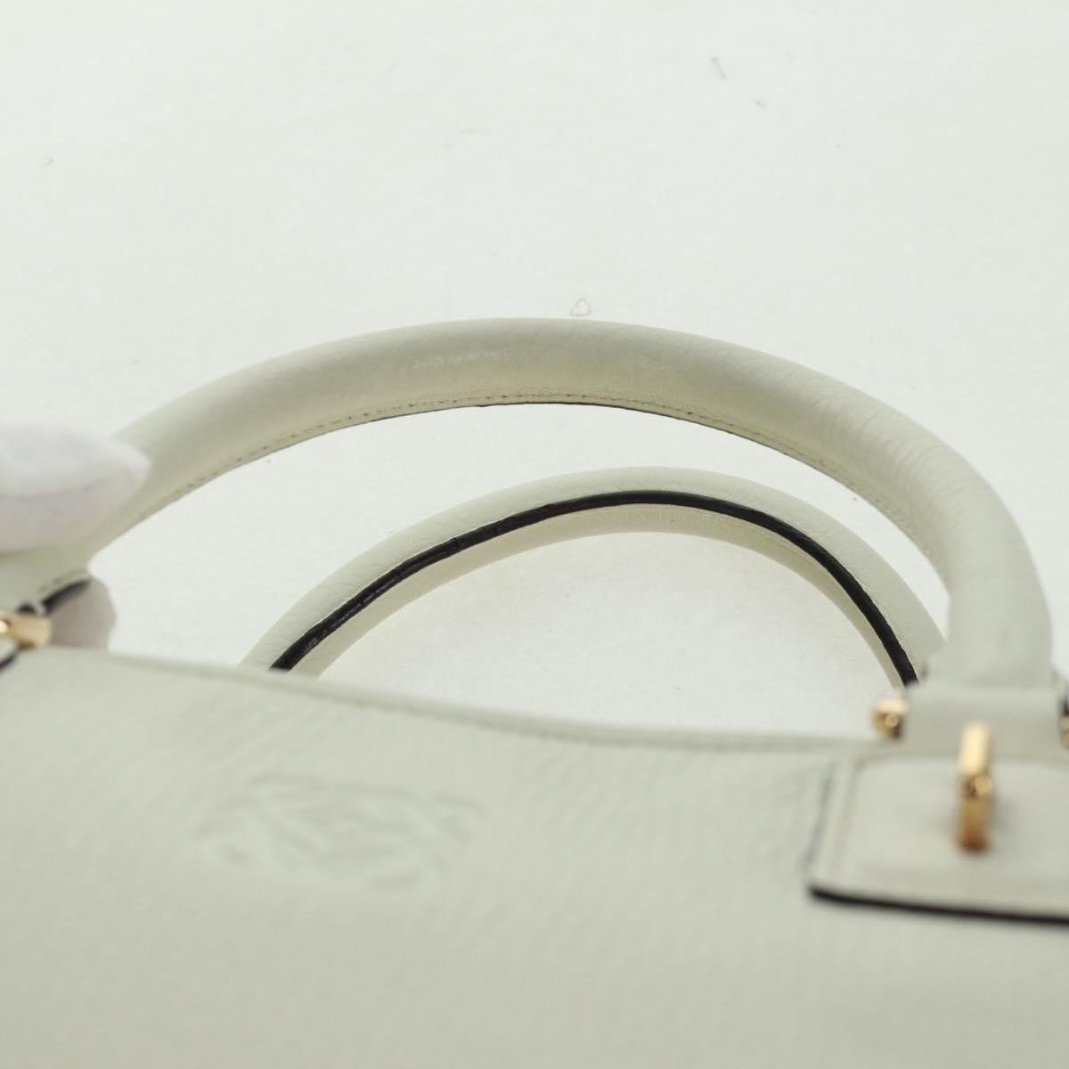 Loewe Amazona Bag - Brandsamsara