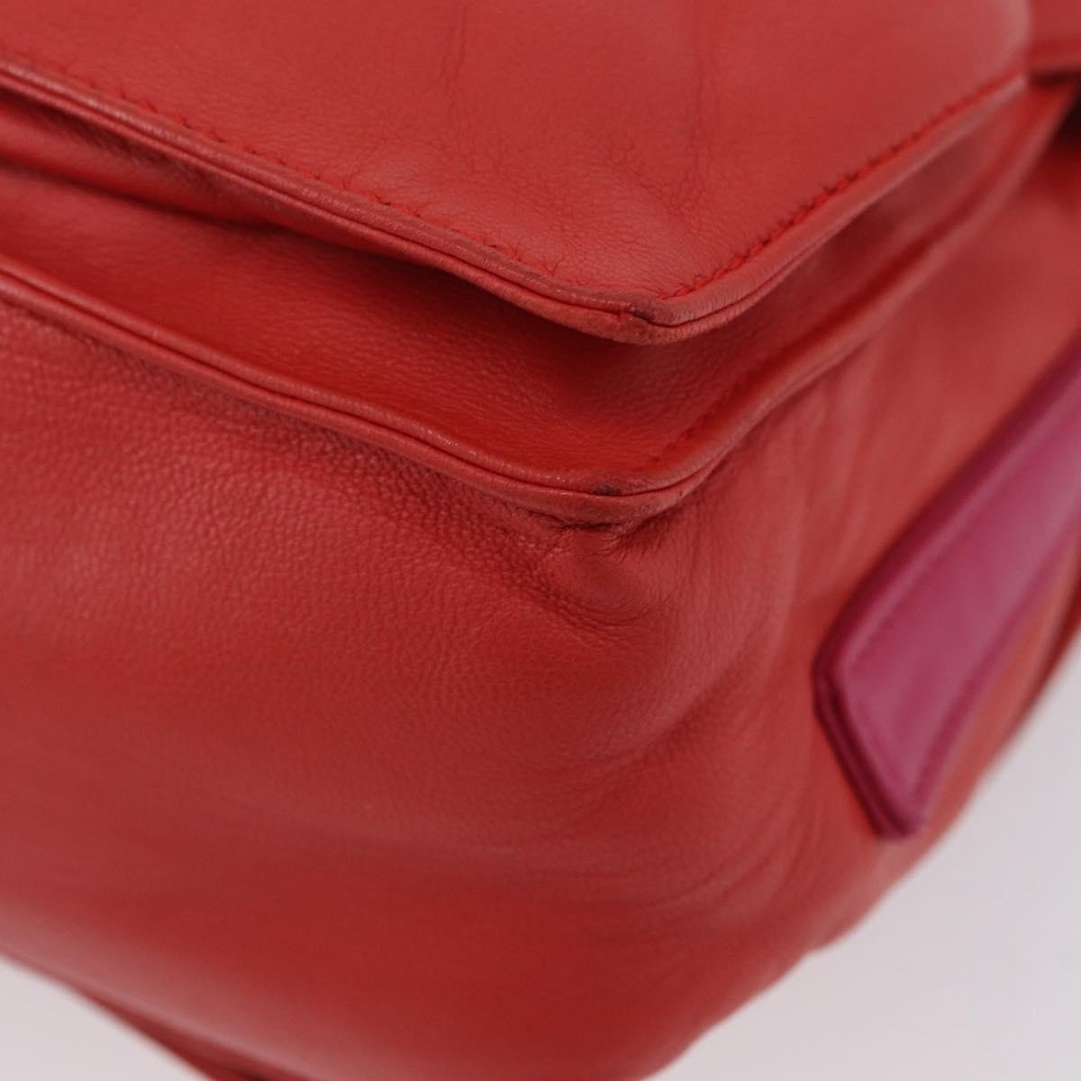 Loewe Flamenco Bag - Brandsamsara