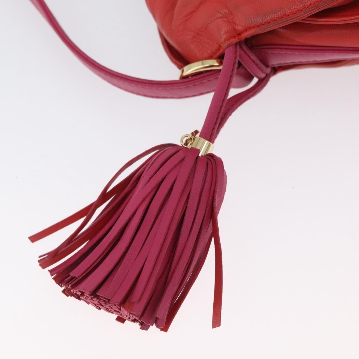 Loewe Flamenco Bag - Brandsamsara